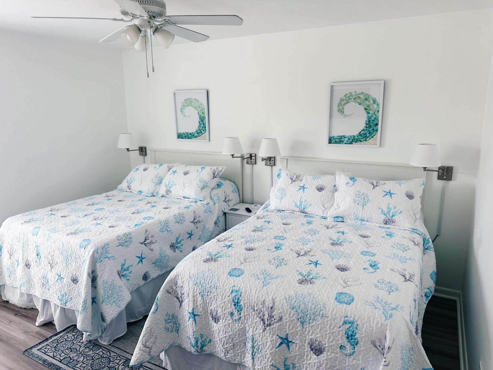 Seahorse Sanctuary Panama City Beach